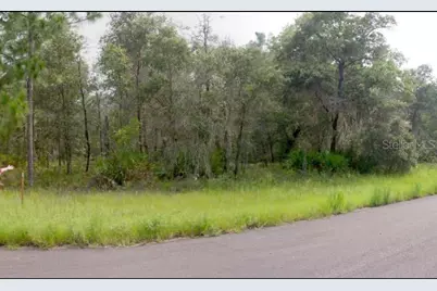 2156 W Deerfield Lane, Dunnellon, FL 34434 - Photo 1