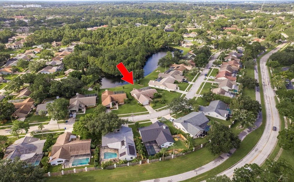 2970 Pinewood Run, Palm Harbor, FL 34684-4919
