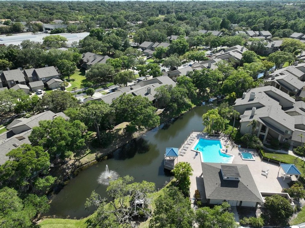 3095 Landmark Blvd #2005, Palm Harbor, FL 34684