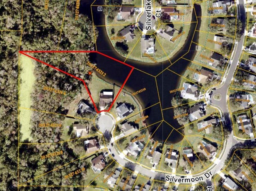 3347 Silvermoon Dr, Plant City, FL 33566
