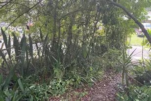 1874 Douglas Ave, Clearwater, FL 33755 - Photo 40