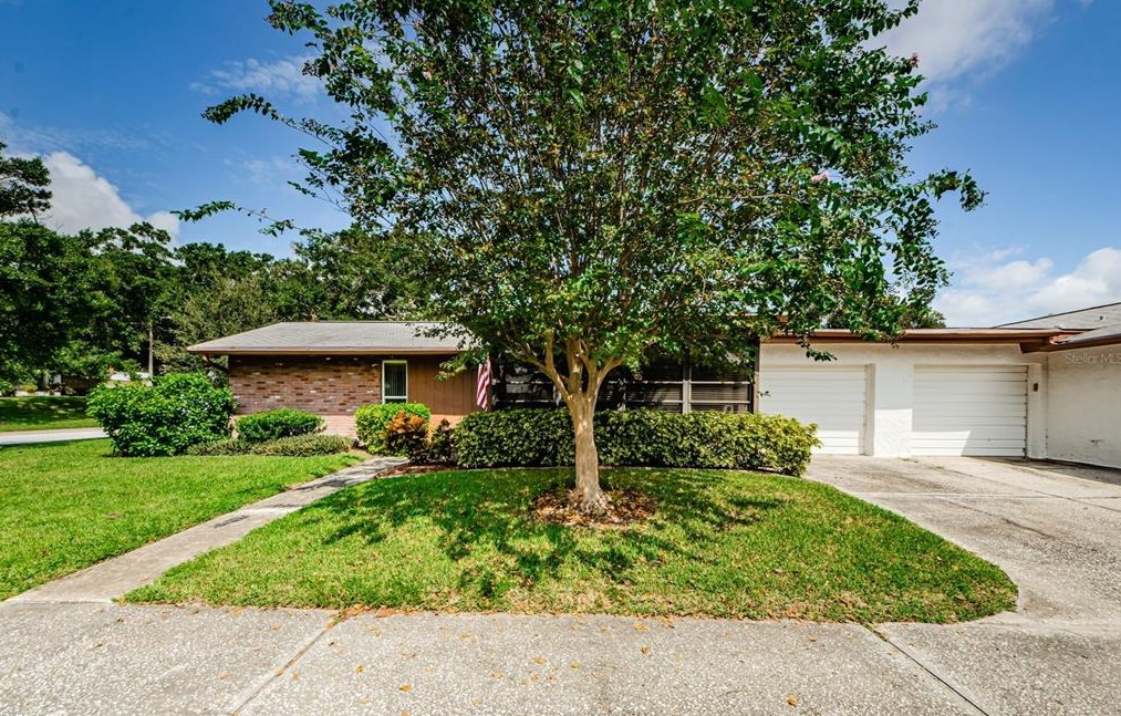 2241 Shelly Dr #b, Palm Harbor, FL 34684