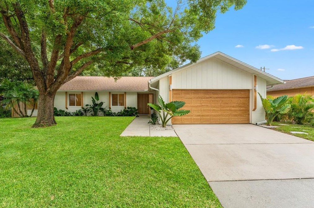 1522 Caird Way, Palm Harbor, FL 34683