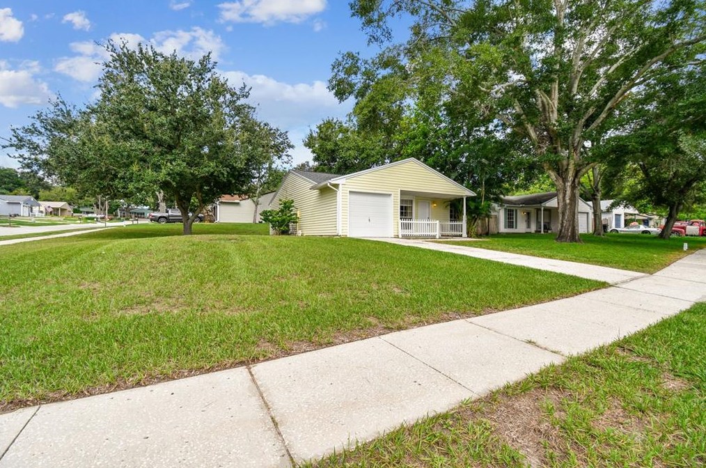 3782 Palace Dr, Palm Harbor, FL 34684