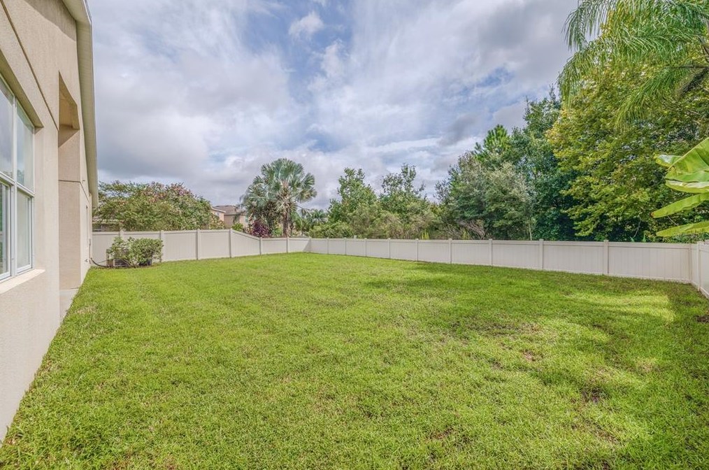 10831 Breaking Rocks Dr, Tampa FL 33647-3585 exterior