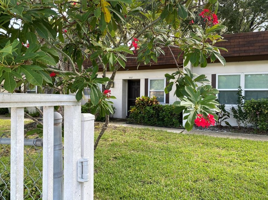 3157 Mission Grove Dr, Palm Harbor, FL 34684