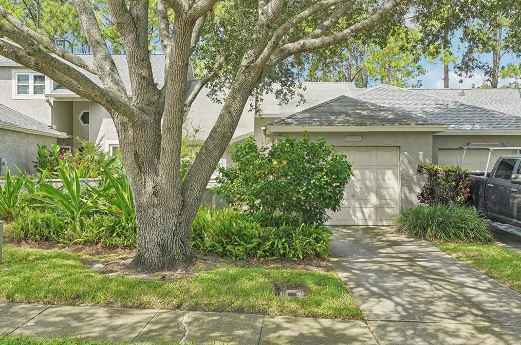 126 Steeplechase Ln, Palm Harbor, FL 34684