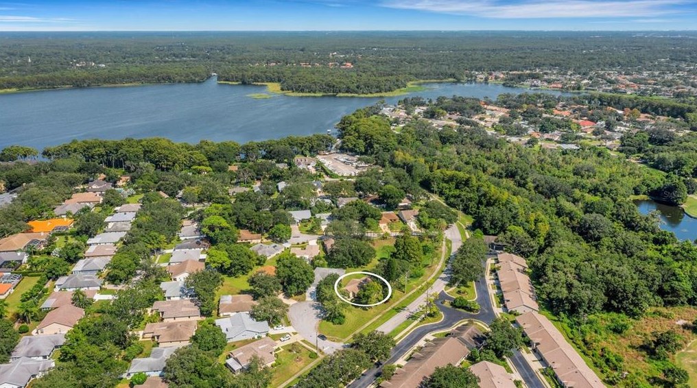 3538 Pine Lake Ct, Palm Harbor, FL 34684