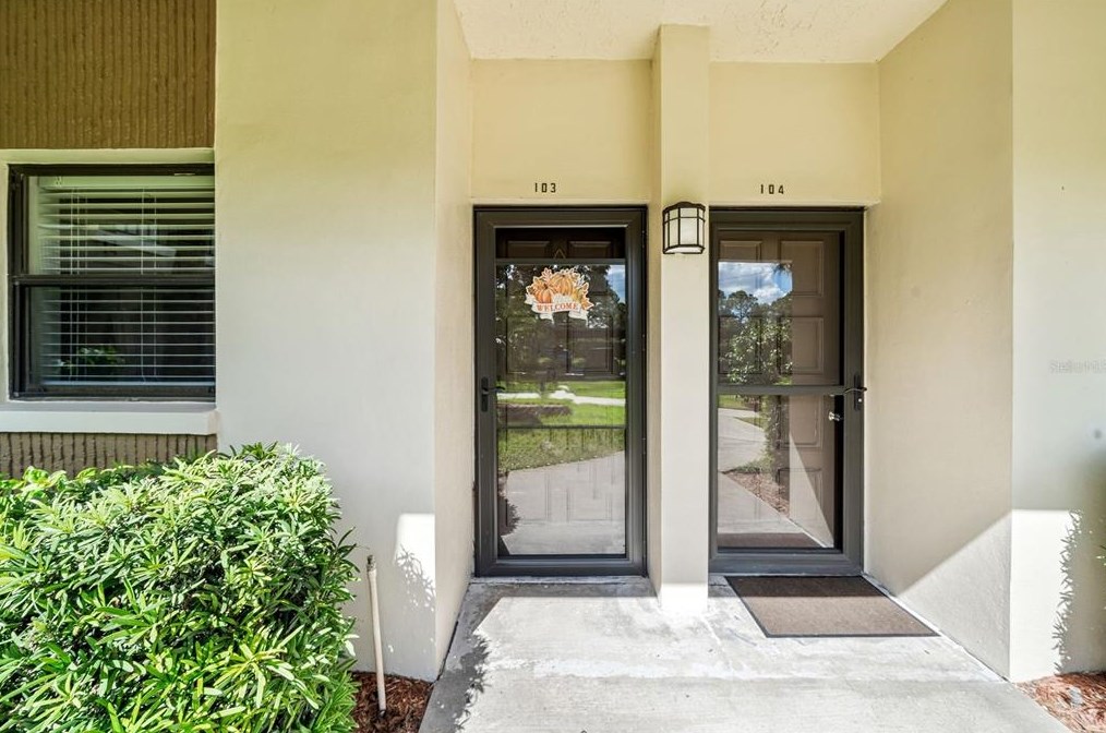 2700 Nebraska Ave #4-103, Palm Harbor, FL 34684