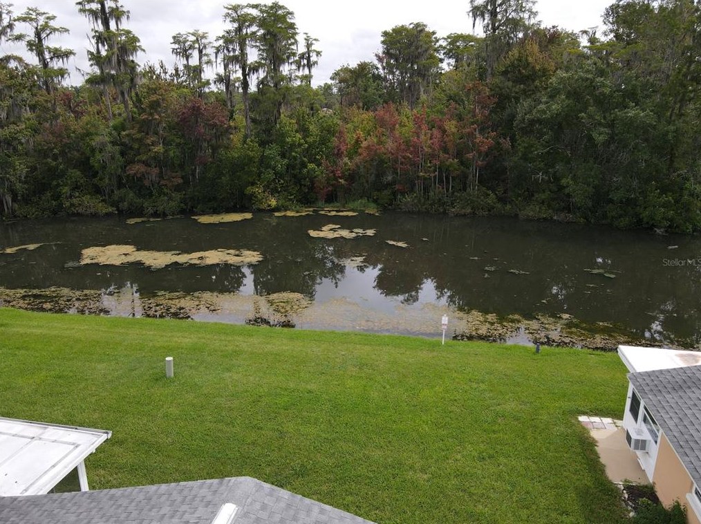 12026 Boynton Ln, New Port Richey FL  34654-1641 exterior