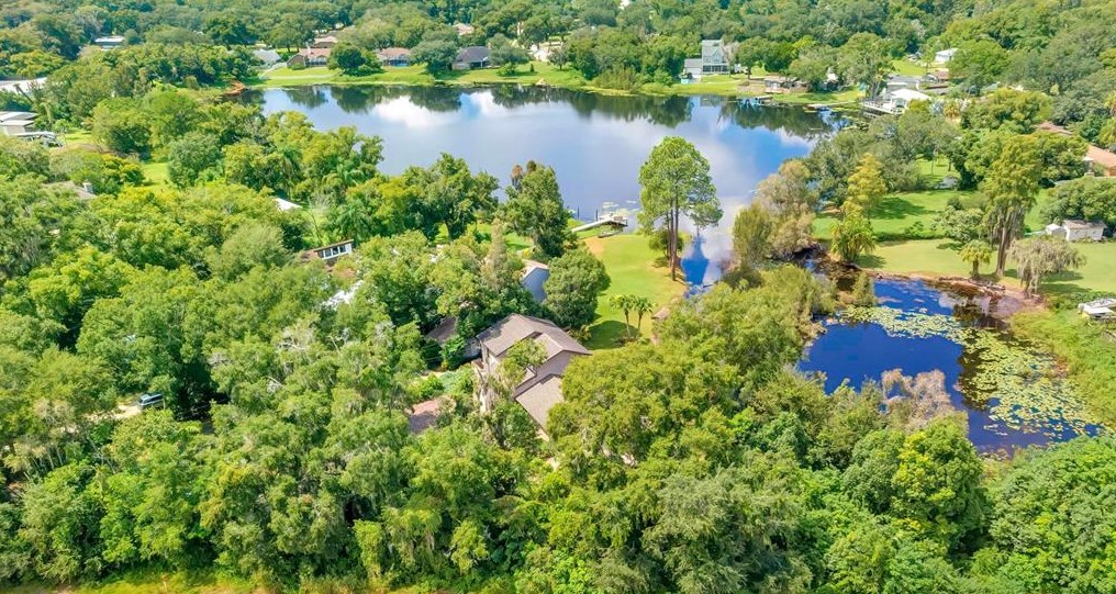 87 1st Ave Nw, Lutz, FL 33548
