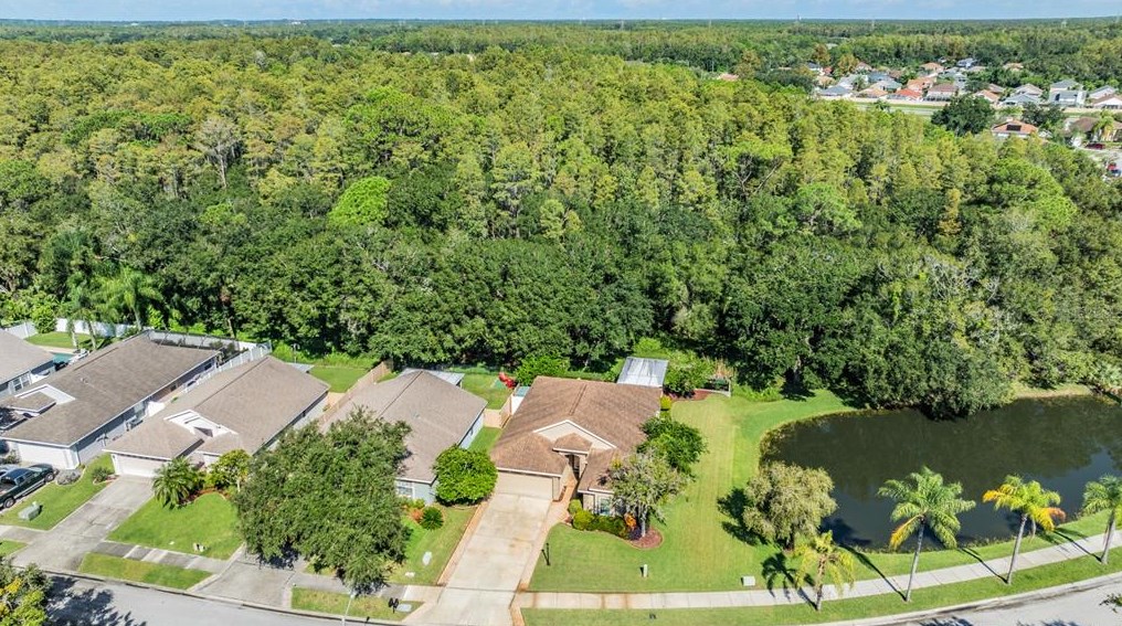 345 Tavernier Dr, Oldsmar, FL 34677
