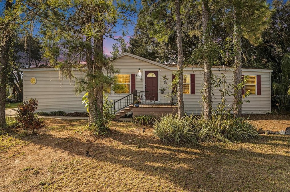 9913 High Meadow Ave, Thonotosassa, FL 33592