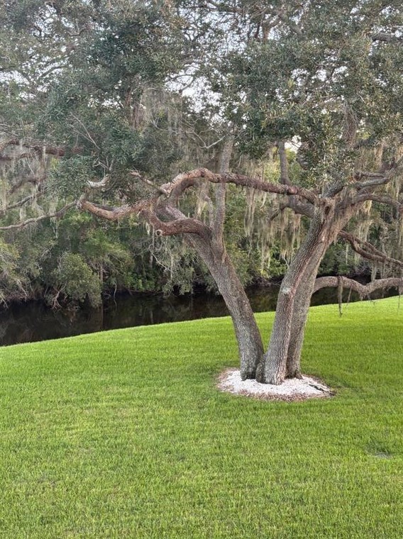 276 Cypress Ln, Oldsmar, FL 34677