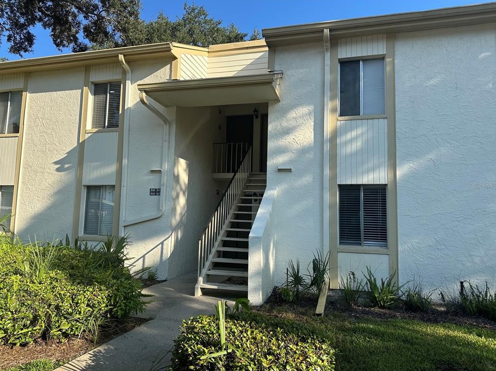 207 Palmetto Ct, Oldsmar, FL 34677