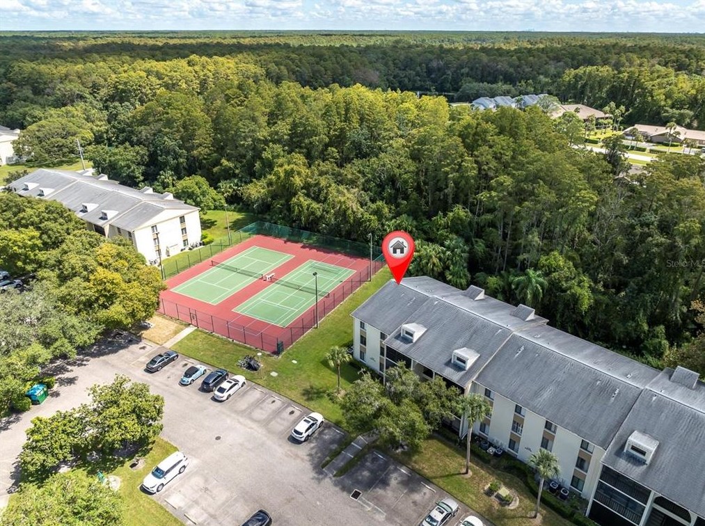 3166 Lake Pine Way, Tarpon Springs, FL 34688-6544