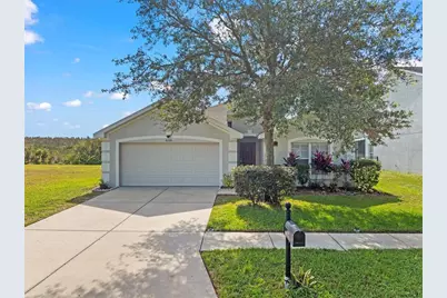 6226 Desert Peace Avenue, Land O Lakes, FL 34639 - Photo 1