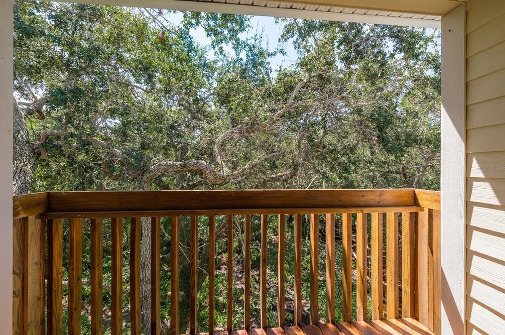 1345 Curlew Rd, Dunedin FL 34698-1924 exterior