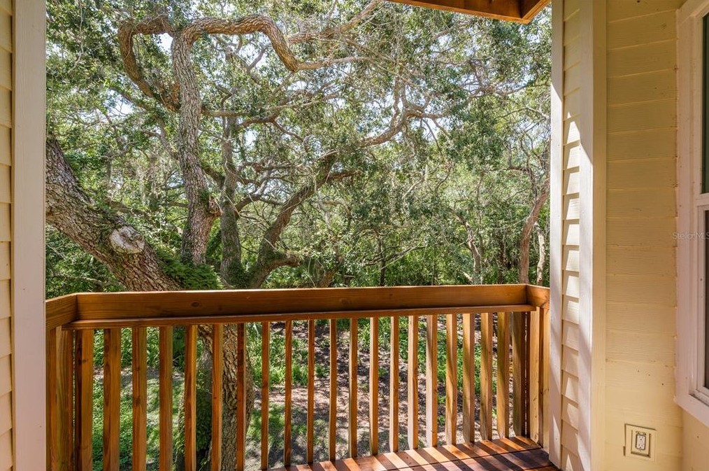 1345 Curlew Rd, Dunedin FL 34698-1924 exterior