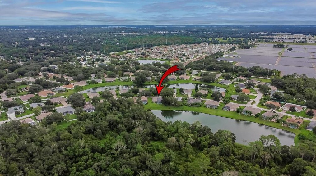 2929 Spring Hammock Dr, Plant City, FL 33566