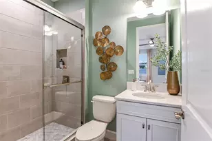 16240 Alpha Grv Pl, Odessa, FL 33556 - Photo 26