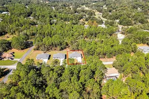 8118 N Santos Dr, Citrus Springs, FL 34434 - Photo 60