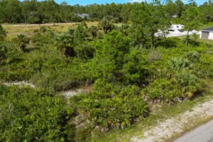 1217 Magnolia Ave, Lehigh Acres, FL 33972 - Photo 4