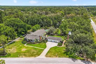 2501 Rustic Oaks Dr, Lutz, FL 33559 - Photo 78