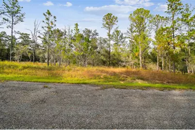 825 E Toledo Drive, Citrus Springs, FL 34434 - Photo 12