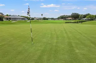 10230 Old Tampa Bay Dr, San Antonio, FL 33576 - Photo 34