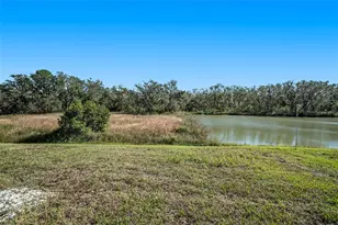 39822 Harmon Grove Ct, Zephyrhills, FL 33540 - Photo 28