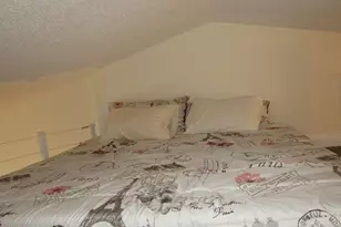 20853 Haulover Cove, Lutz, FL 33558 - Photo 24