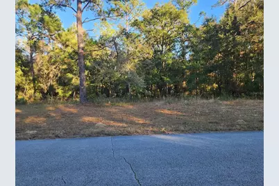 9155 N Alameda Drive, Citrus Springs, FL 34434 - Photo 1