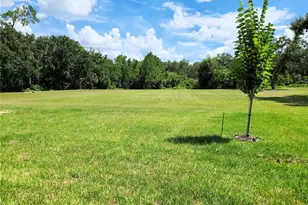 413 Shannon Ests Ct, Plant City, FL 33563 - Photo 26