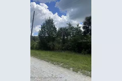 00 Ramsey Road, Brooksville, FL 34614 - Photo 10