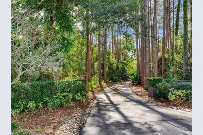 18120 Wayne Road, Odessa, FL 33556 - Photo 8