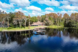 18120 Wayne Rd, Odessa, FL 33556 - Photo 82