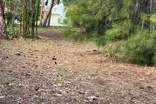 418 12th Ave, Indian Rocks Beach, FL 33785 - Photo 6