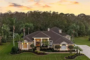 2914 Shipston Ave, New Port Richey, FL 34655 - Photo 1