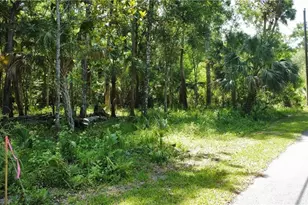 5303 S Parkland Terrace, Homosassa, FL 34448 - Photo 2