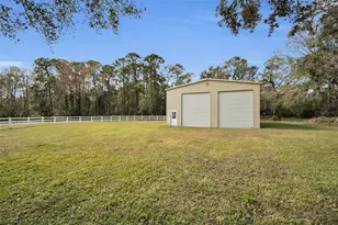 249 Dogwood Trce, Tarpon Springs, FL 34688 - Photo 92