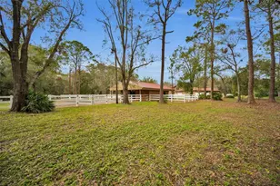 249 Dogwood Trce, Tarpon Springs, FL 34688 - Photo 74