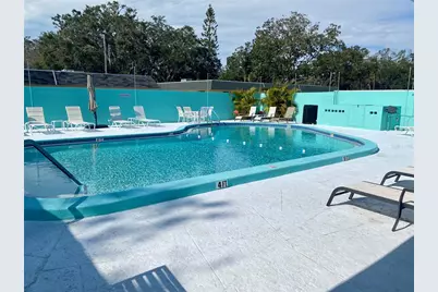 889 Sky Loch Drive S, Dunedin, FL 34698 - Photo 20