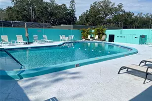 889 Sky Loch Dr S, Dunedin, FL 34698 - Photo 20