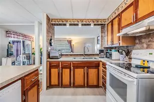 36905 Beth Ave, Zephyrhills, FL 33542 - Photo 8