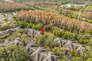 2160 Chianti Pl, Palm Harbor, FL 34683 - Photo 38