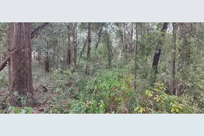 1221 E Rhapsody Lane, Hernando, FL 34442 - Photo 10