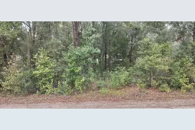 1221 E Rhapsody Lane, Hernando, FL 34442 - Photo 4