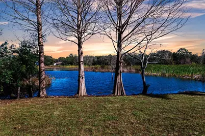 11416 Pine Forest Drive, New Port Richey, FL 34654 - Photo 2