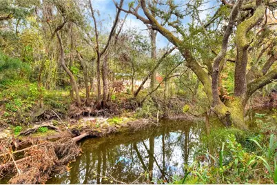 11735 Knights Griffin Road, Thonotosassa, FL 33592 - Photo 8